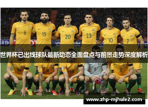世界杯已出线球队最新动态全面盘点与前景走势深度解析