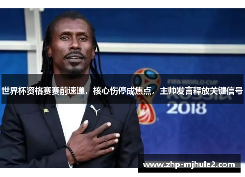 世界杯资格赛赛前速递，核心伤停成焦点，主帅发言释放关键信号